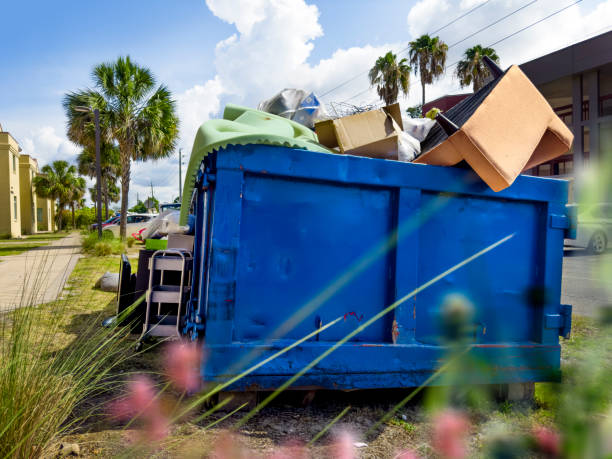 Full-Service Junk Removal in Rio Hondo, TX